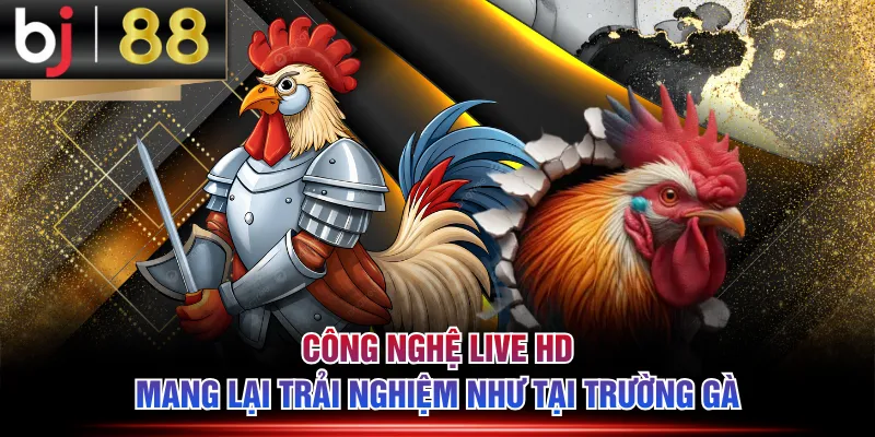 Công nghệ live HD mang lại trải nghiệm như tại trường gà