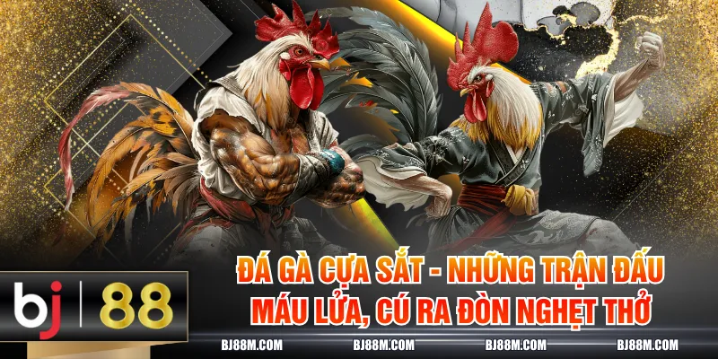 Đá gà cựa sắt