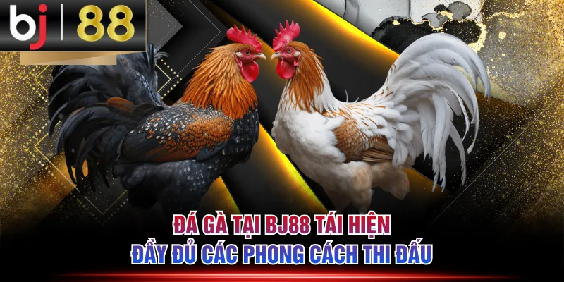 Đá gà tại BJ88 tái hiện đầy đủ các phong cách thi đấu